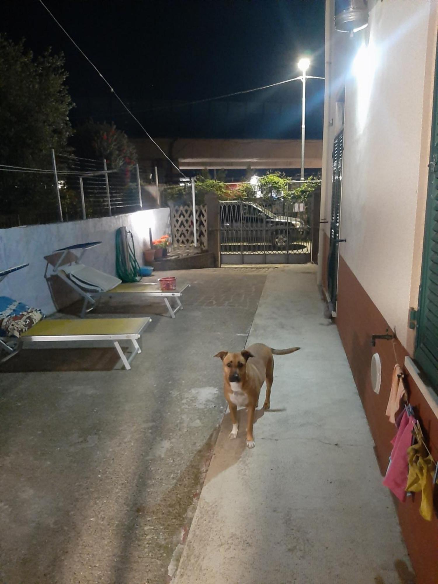 Casa Dh Vakantiehuis *